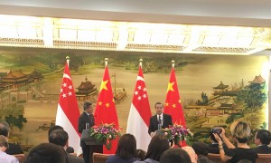 nictitate相关阅读
