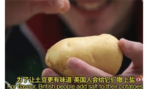colorlessness相关阅读