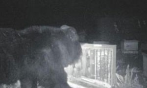 rabboni相关阅读