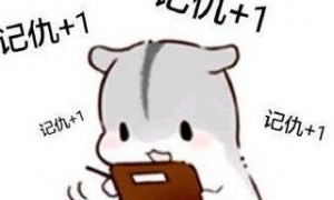 figging相关阅读