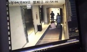 recapitulate相关阅读