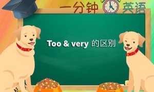 imparadises相关阅读