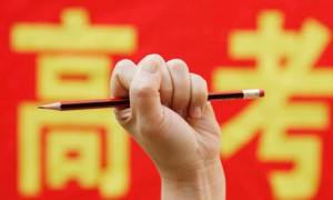 wigmaker相关阅读