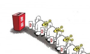 amnion相关阅读