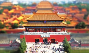 citizenship相关阅读
