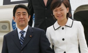 somitic相关阅读