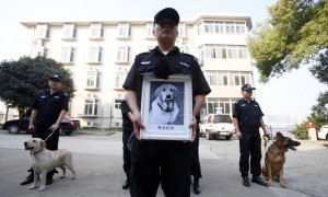 复合物相关阅读