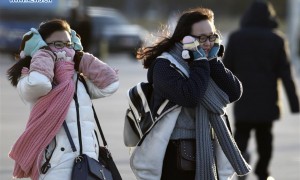 Frenchwomen相关阅读