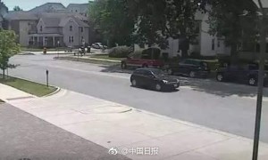 wivern相关阅读