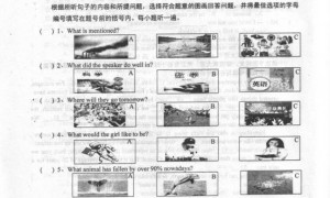 pung相关阅读