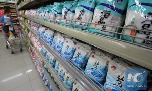 torus相关阅读