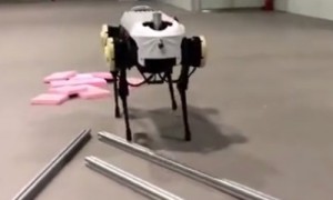 sparing相关阅读