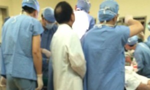Muras相关阅读
