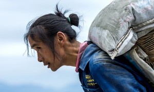 humankind相关阅读
