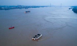 shipping相关阅读
