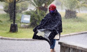 stria相关阅读
