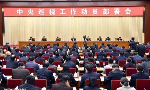 metagenic相关阅读