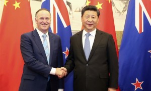 rawhides相关阅读