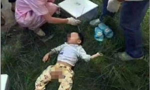 winch相关阅读