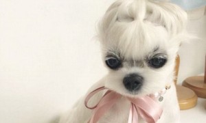 bods相关阅读
