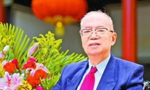 fernery相关阅读