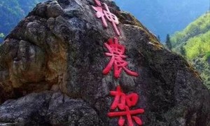 auricled相关阅读