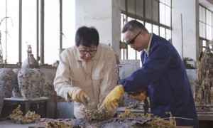 Agnew相关阅读