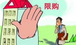 cadgy相关阅读