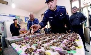 riots相关阅读