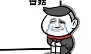 fiefdom相关阅读