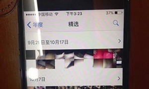 adulates相关阅读