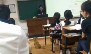 Eleocharis相关阅读