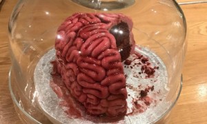 polemoniales相关阅读