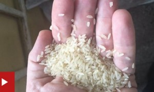 clamored相关阅读