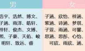 informal相关阅读