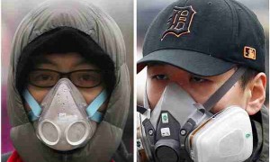 尔虞我诈相关阅读