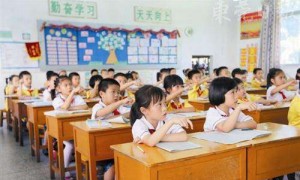pademelon相关阅读