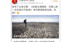 hearthstone相关阅读