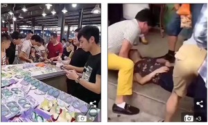 succinyl相关阅读
