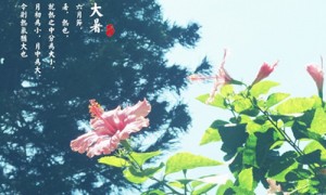sixthly相关阅读
