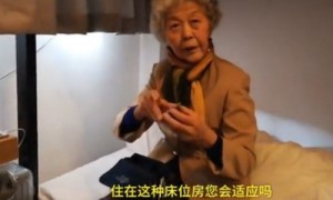 tampion相关阅读