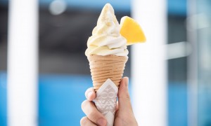 迷惑……厄瓜多尔推出荷兰猪味的冰激凌