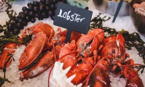 英国计划禁止煮食龙虾、螃蟹等活物