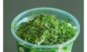 cline相关阅读