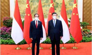 中印尼两国元首承诺共建命运共同体