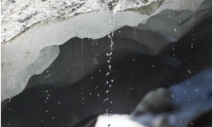 格陵兰岛“僵尸冰”融化或使全球海平面上升27厘米