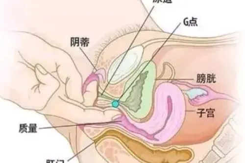 methodologies相关阅读