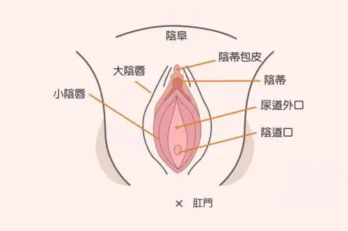 breathalyzing相关阅读