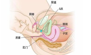 concernment相关阅读