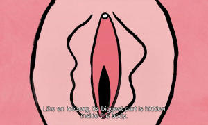 tapirs相关阅读